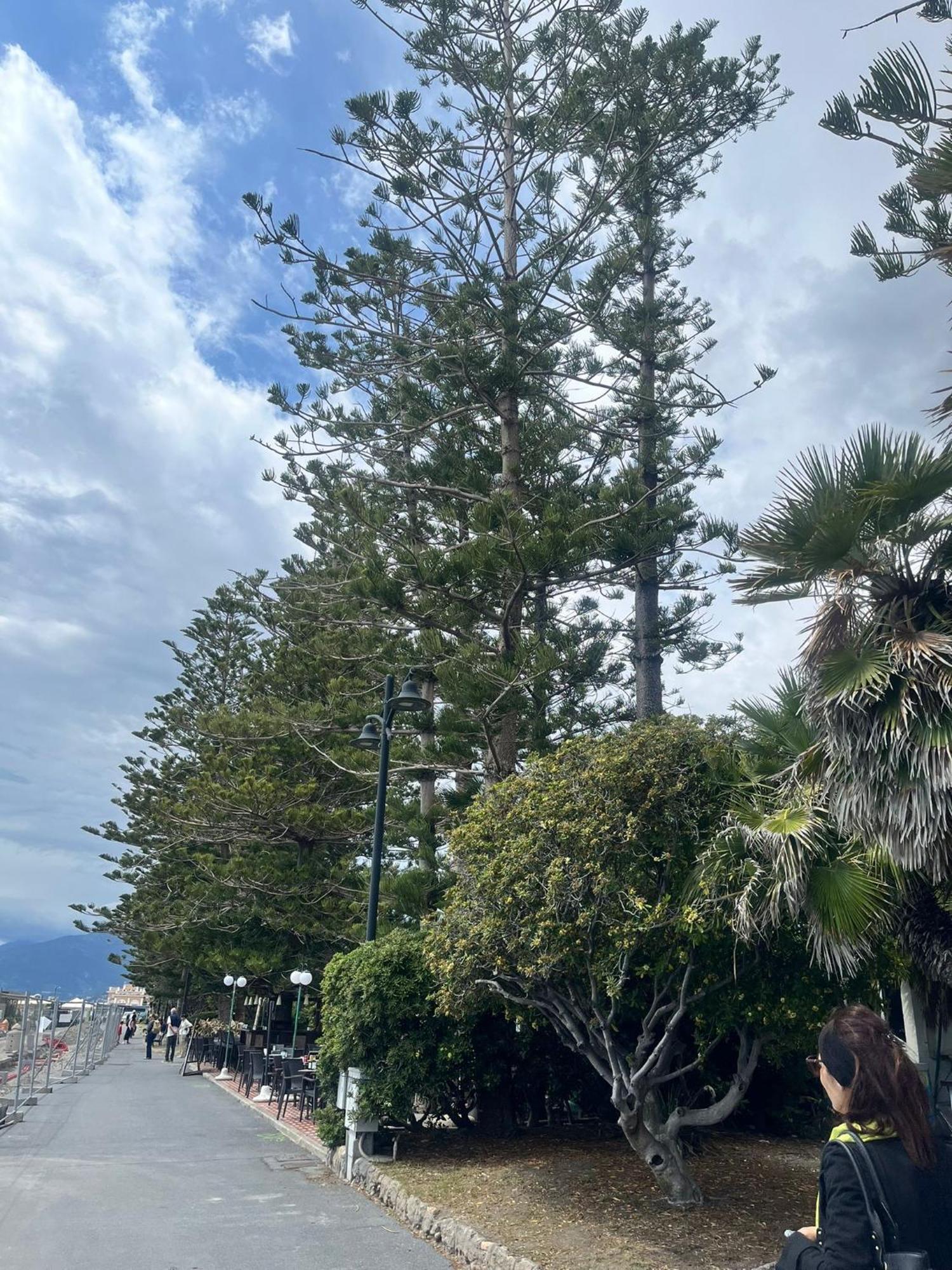 Casa Vacanza! A 50m dal mare! Bordighera Esterno foto